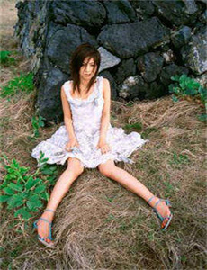 《小屁孩日记2010》