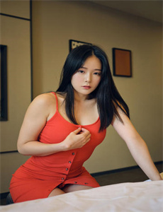 《赵普 翻译》