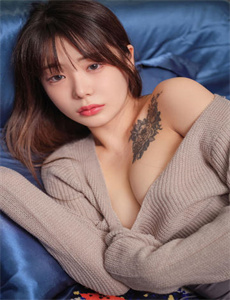 《坠落画境的你》